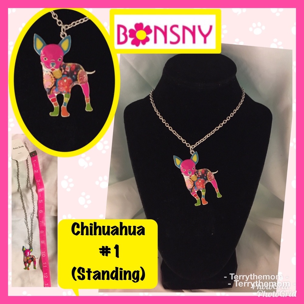 COPY - BONSNY standing Chihuahua